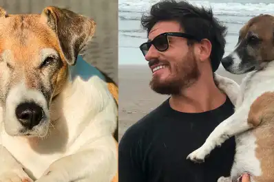 Murió Kike, el perro que acompañó a Federico Bal durante 17 años: su dolorosa despedida