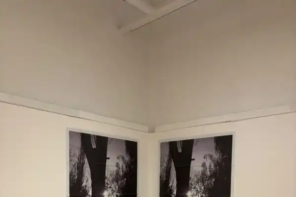 “El gesto que irrumpe”: inauguran una muestra de fotografía en el MUNT