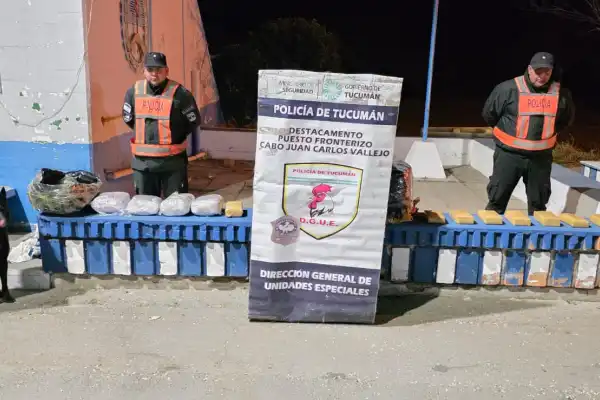 Encomiendas narco: secuestran 18 kilos de marihuana enviados desde Salta
