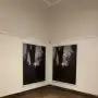 “El gesto que irrumpe”: inauguran una muestra de fotografía en el MUNT