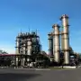 Nuestra “vaca viva”: el bioetanol como futuro productivo del Norte Grande