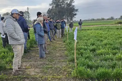 Expertos de la Eeaoc presentaron experiencias para manejo de malezas en trigo, garbanzo y colza