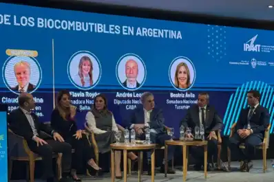 Los proyectos en discusión: senadores quieren apurar el tratamiento en el Congreso