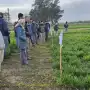 Expertos de la Eeaoc presentaron experiencias para manejo de malezas en trigo, garbanzo y colza