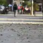 El SMN anticipa un fuerte cambio en Tucumán: ¿qué día la máxima llegará a 29°C?
