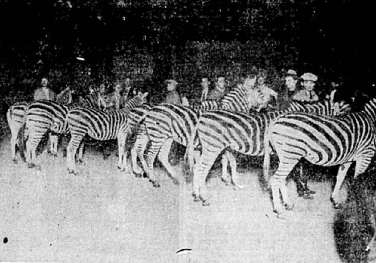 Recuerdos fotográficos: 1935. El circo Sarrasani en Tucumán