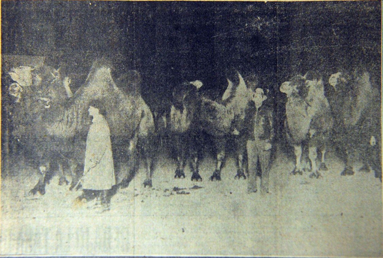 Recuerdos fotográficos: 1935. El circo Sarrasani en Tucumán