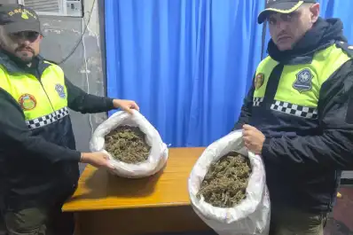 Cayó “El Gaucho” por transportar cinco kilos de flores de marihuana