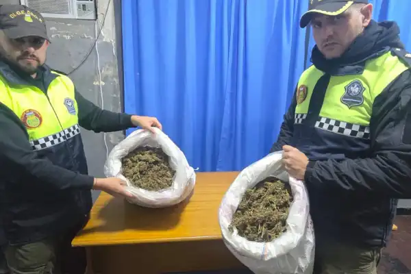Cayó “El Gaucho” por transportar cinco kilos de flores de marihuana