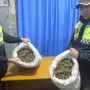 Cayó “El Gaucho” por transportar cinco kilos de flores de marihuana