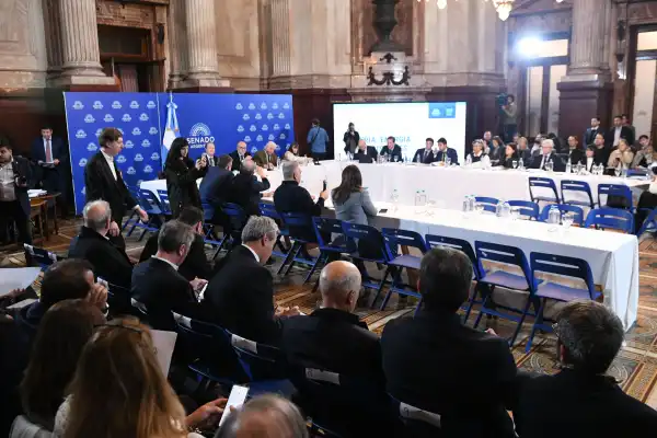 Nueva ley de biocombustibles: el Senado convoca a una reunión plenaria y crece la expectativa por el “plan B”