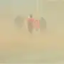 Alerta naranja y amarilla por temporal extremo: prevén ráfagas de 110 km/h y 150 cm de nieve en zonas para este martes