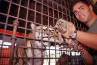 Recuerdos fotográficos: 1974 y 2003. Cuando nacieron tigres de circo en Tucumán
