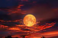 La Luna se teñirá de rojo: a qué hora será el eclipse lunar de agosto 2026