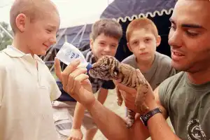 Recuerdos fotográficos: 1974 y 2003. Cuando nacieron tigres de circo en Tucumán