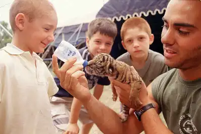 Recuerdos fotográficos: 1974 y 2003. Cuando nacieron tigres de circo en Tucumán