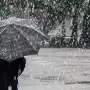 Nevadas de hasta 1,5 metros y ráfagas de 90 km/h: hay alertas naranja y amarilla en 10 provincias