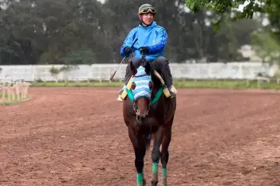 El Gran Premio “Batalla de Tucumán” ya comienza a tomar forma