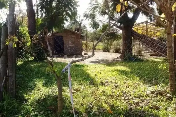 Filicidios en Tucumán: cuando los hijos terminan siendo las víctimas de las venganzas de sus padres