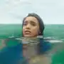 Tiburones al acecho tras un accidente aéreo