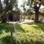 Filicidios en Tucumán: cuando los hijos terminan siendo las víctimas de las venganzas de sus padres