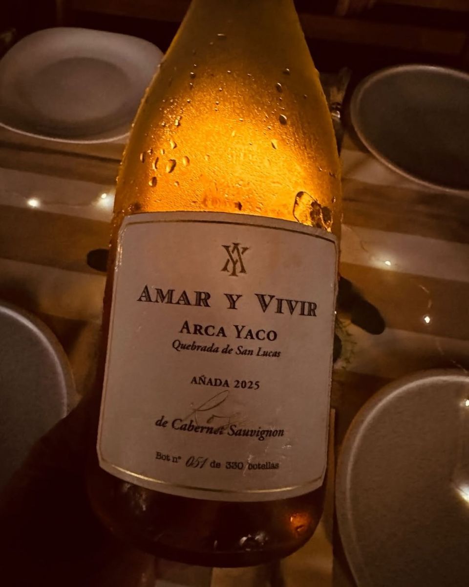 UN DESCUBRIMIENTO. Una de las 300 botellas del rosado de Cabernet Sauvignon que se produce en Arca Yaco. 