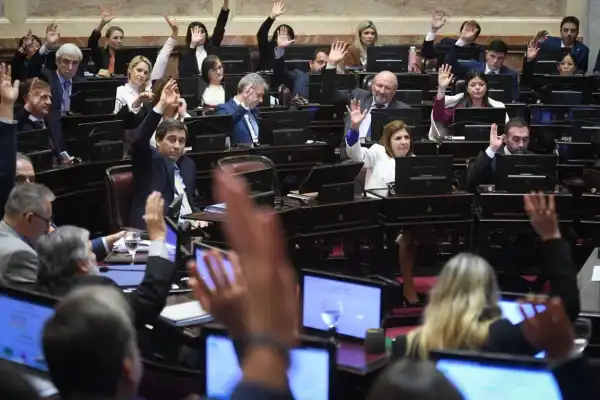 El Senado avanzó con pliegos judiciales clave y la reapertura de la discusión por las PASO