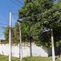 Tragedia en Tucumán: un hombre murió electrocutado mientras cortaba paltas de un árbol en una vivienda