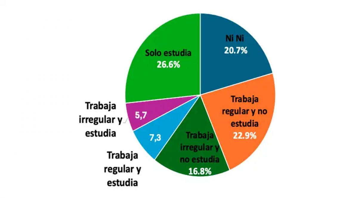 ESTUDIO Y TRABAJO. El 26,6% de los jóvenes de 18 a 25 años solo estudia, mientras que el 39,7% trabaja sin estudiar. Apenas el 13% combina ambas actividades y el 20,7% no estudia ni trabaja.