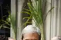 Blaquier, sobre los biocombustibles: “Es muy importante poder contar con la ley”