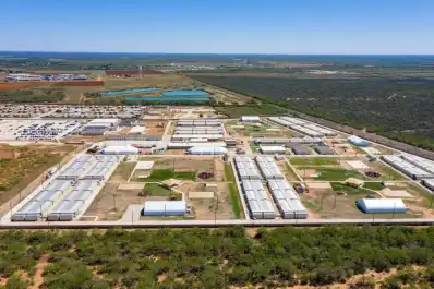 Inmigración: una argentina lleva un mes detenida por ICE en Texas