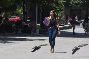Primavera 2026 en Tucumán: el SMN anticipó cómo serán las lluvias y las temperaturas