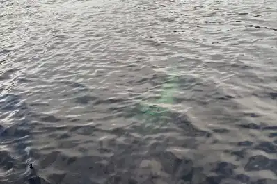 ¿Qué pasó en el lago La Plata? Investigan la extraña aparición de una camioneta sumergida