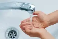 Del desagüe al inodoro: cómo es el circuito para volver a usar las aguas grises