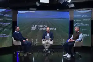Un toro criado en Tucumán fue elegido Gran Campeón de Palermo y proyecta la ganadería del NOA