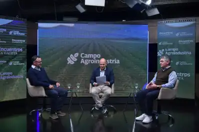 Un toro criado en Tucumán fue elegido Gran Campeón de Palermo y proyecta a la ganadería del NOA