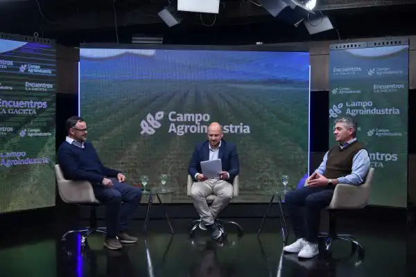Un toro criado en Tucumán fue elegido Gran Campeón de Palermo y proyecta a la ganadería del NOA
