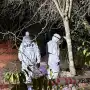 Una pareja muerta y una escopeta: investigan un presunto femicidio en 7 de Abril