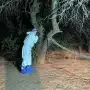 Llevó a un monte a su pareja, la mató de un escopetazo y luego se quitó la vida