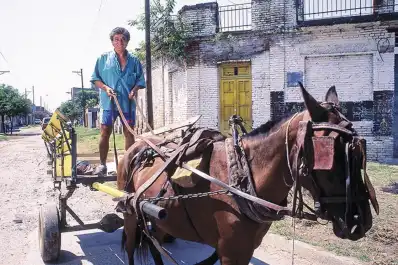 Tuvo siete departamentos, dos BMW y una fortuna, pero terminó perdiéndolo todo: la historia de Carlos Salinas