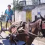 Tuvo siete departamentos, dos BMW y una fortuna, pero terminó perdiéndolo todo: la historia de Carlos Salinas