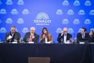 Nueva ley de biocombustibles: el proyecto obtuvo dictamen en el Senado y crecen las expectativas en Tucumán
