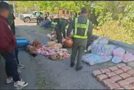 Escondían 49 kilos de marihuana y 4 kilos de cocaína dentro de capibaras de peluche