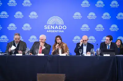 Nueva ley de biocombustibles: el proyecto obtuvo dictamen en el Senado y crecen las expectativas en Tucumán