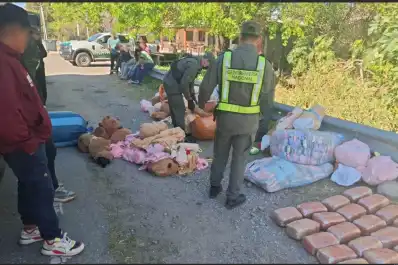 Escondían 49 kilos de marihuana y 4 kilos de cocaína dentro de capibaras de peluche