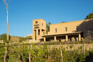 Cachi, el pueblo que un padre amaba y donde una hija convirtió su legado en vinos que deslumbran