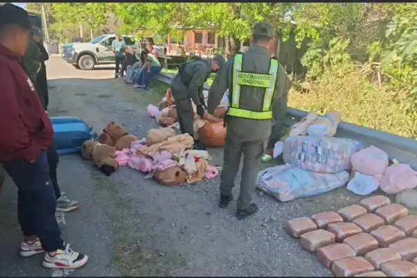 Escondían 49 kilos de marihuana y 4 kilos de cocaína dentro de capibaras de peluche