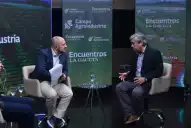 No queremos subsidios, queremos igualar el terreno: el reclamo de la citricultura para competir con Sudáfrica