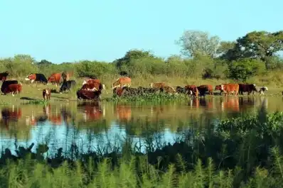 Entre inundaciones y sequías, El Niño podría tener un fuerte impacto en el agro en 2027