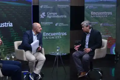No queremos subsidios, queremos igualar el terreno: el reclamo de la citricultura para competir con Sudáfrica